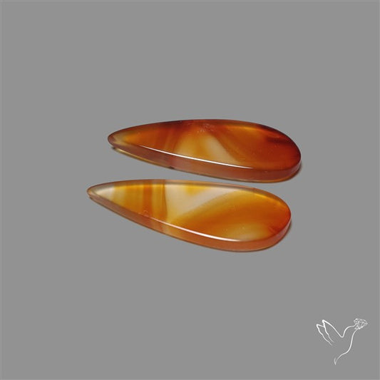 Montana Agate Pair