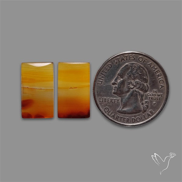 Montana Agate Pair