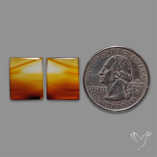 Montana Agate Pair
