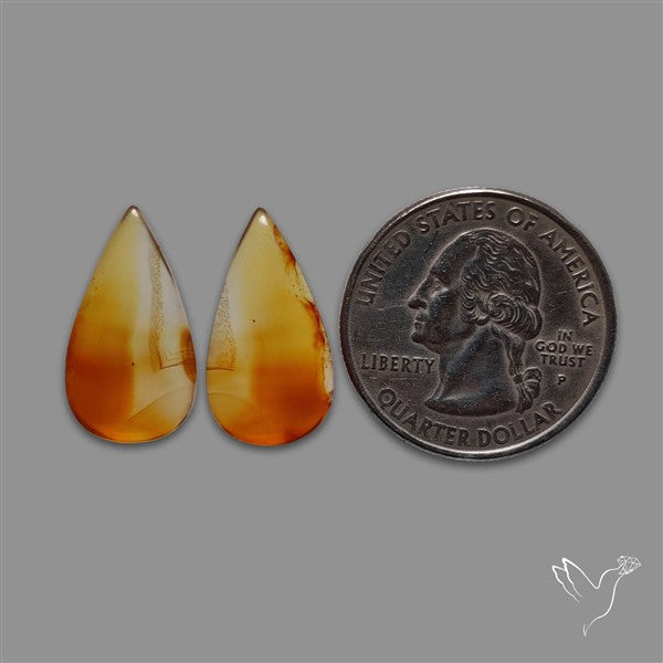 Montana Agate Pair