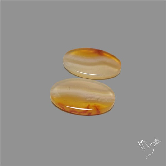 Montana Agate Pair