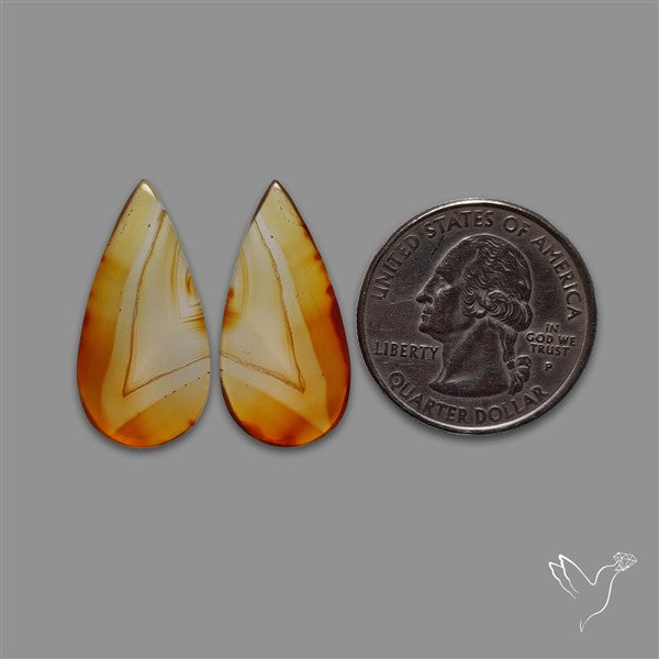 Montana Agate Pair