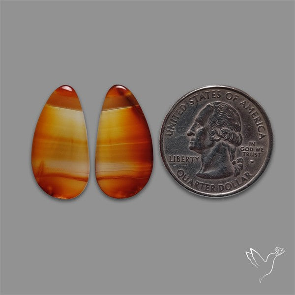 Montana Agate Pair