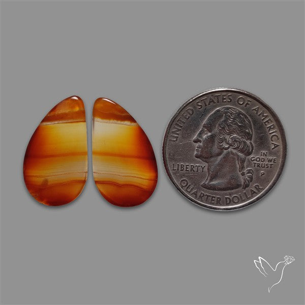 Montana Agate Pair