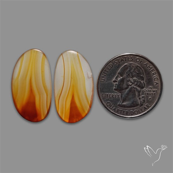 Montana Agate Pair