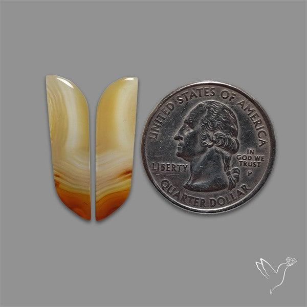 Montana Agate Pair