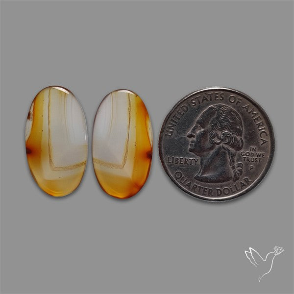 Montana Agate Pair