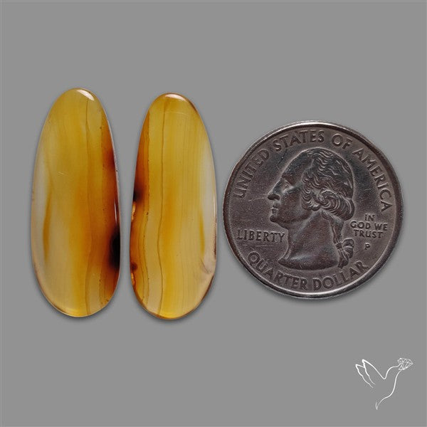 Montana Agate Pair