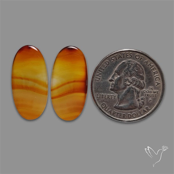 Montana Agate Pair