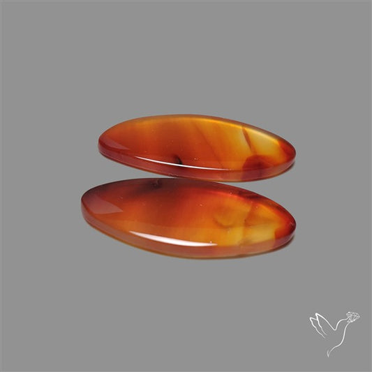 Montana Agate Pair