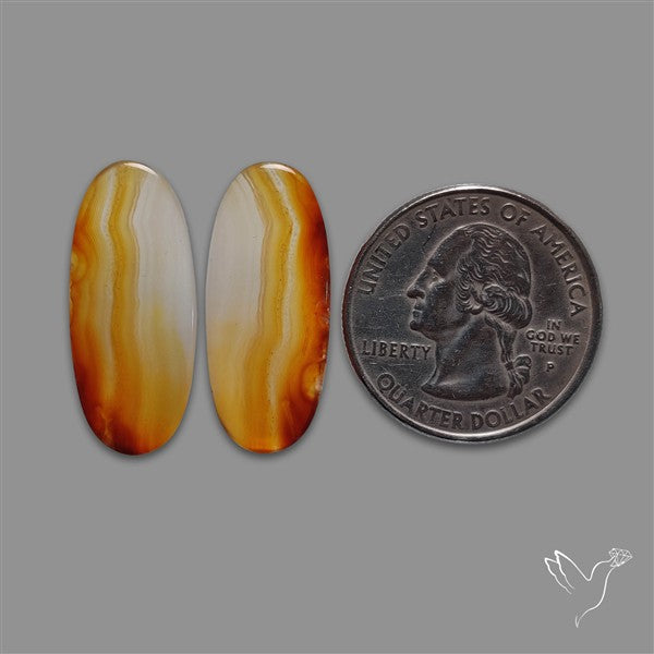 Montana Agate Pair