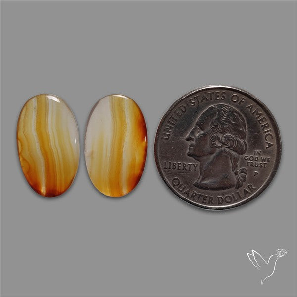Montana Agate Pair