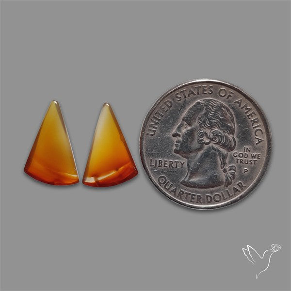 Montana Agate Pair