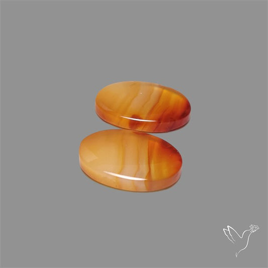 Montana Agate Pair