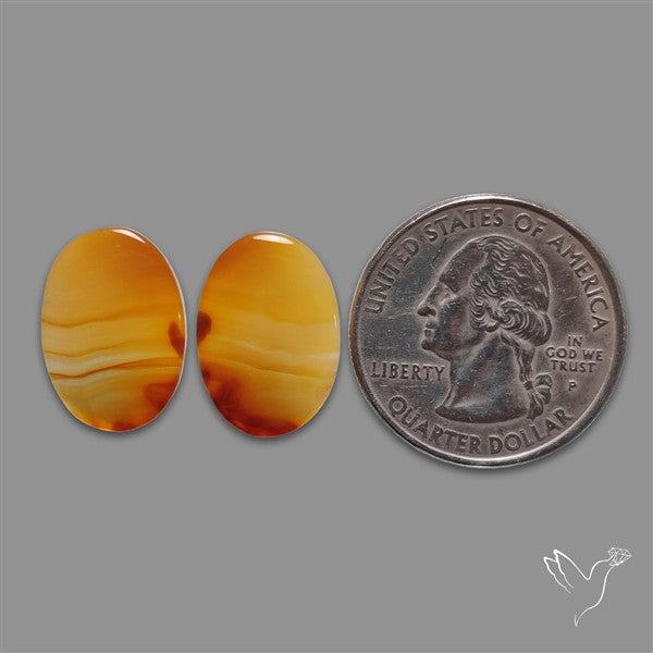 Montana Agate Pair