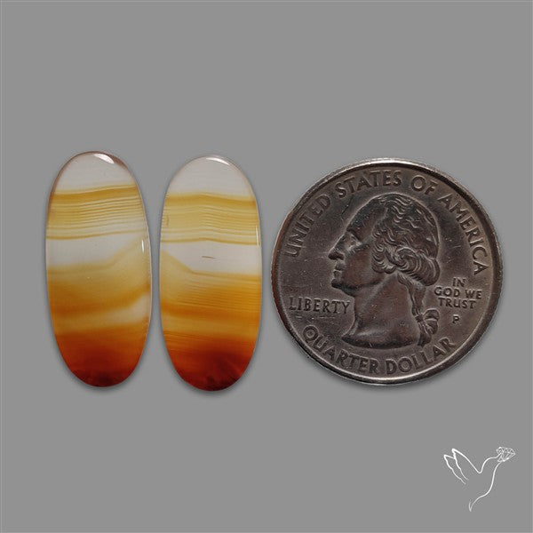 Montana Agate Pair