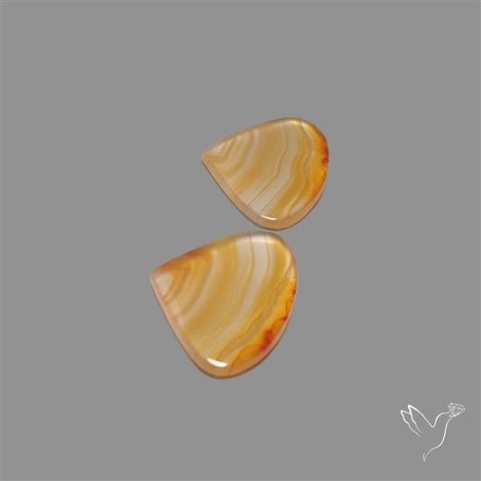 Montana Agate Pair