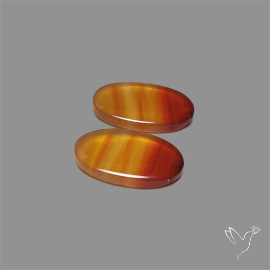 Montana Agate Pair