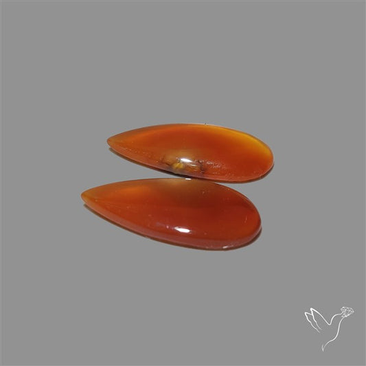 Montana Agate Pair