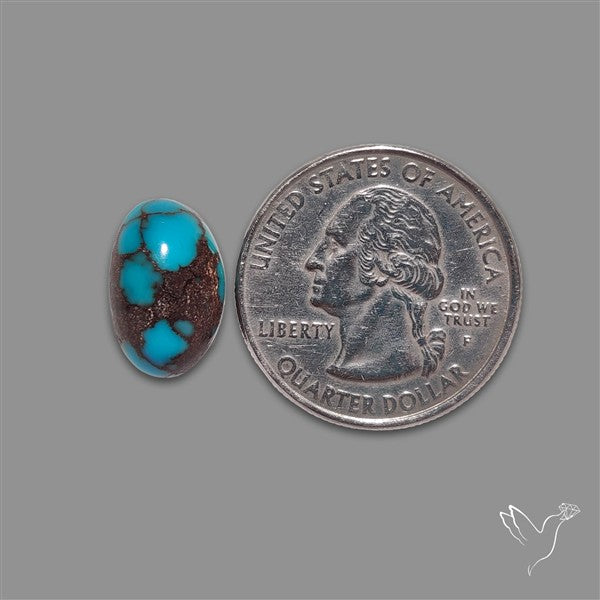 Rare Egyptian Turquoise Cabochon from Sinai Peninsula