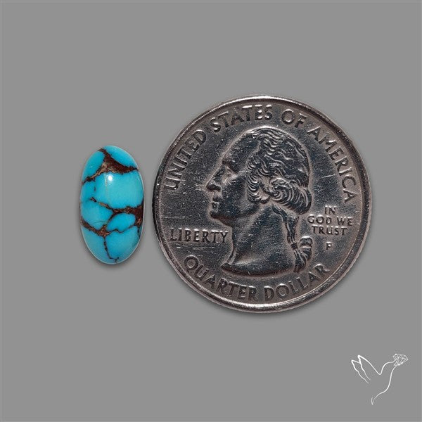 Rare Egyptian Turquoise Cabochon from Sinai Peninsula