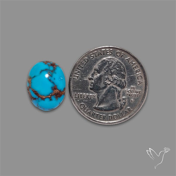 Rare Egyptian Turquoise Cabochon from Sinai Peninsula