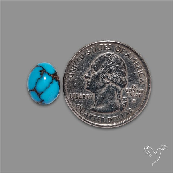 Rare Egyptian Turquoise Cabochon from Sinai Peninsula