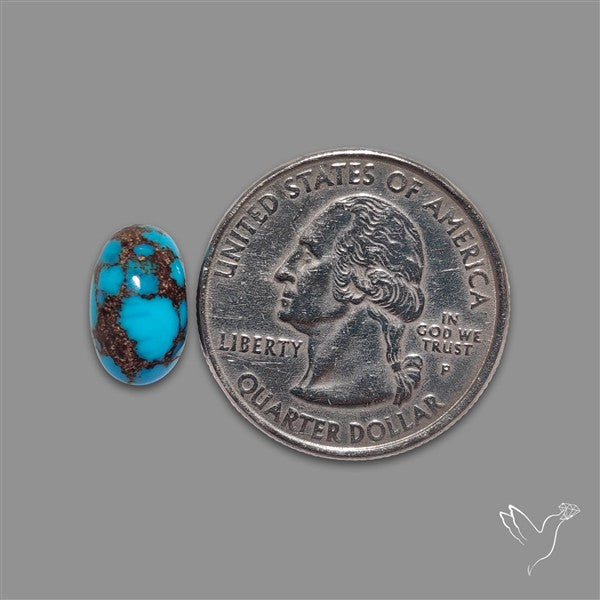 Rare Egyptian Turquoise Cabochon from Sinai Peninsula