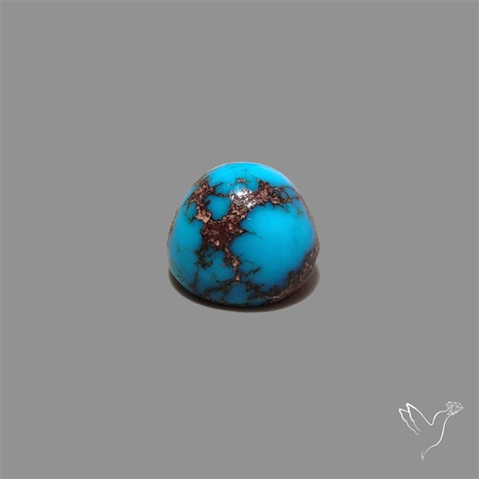 Rare Egyptian Turquoise Cabochon from Sinai Peninsula