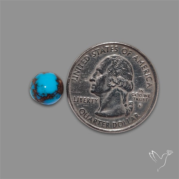 Rare Egyptian Turquoise Cabochon from Sinai Peninsula