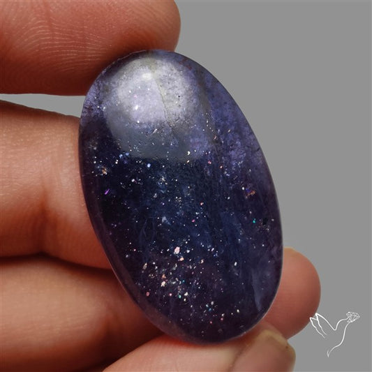 Sunstone In Iolite Cabochon
