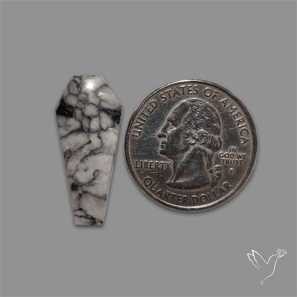 Pinolith Coffin Cabochon