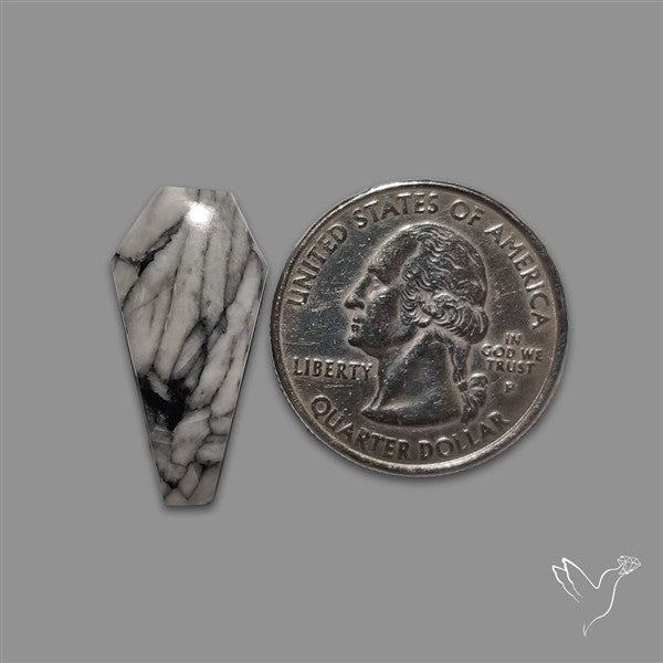 Pinolith Coffin Cabochon