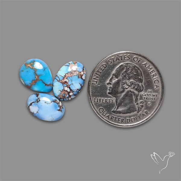 Golden Hill Turquoise Cabochons Lot