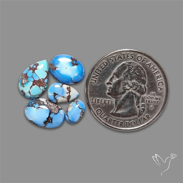 Golden Hill Turquoise Cabochons Lot