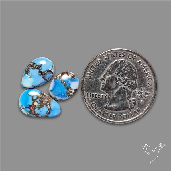 Golden Hill Turquoise Cabochons Lot