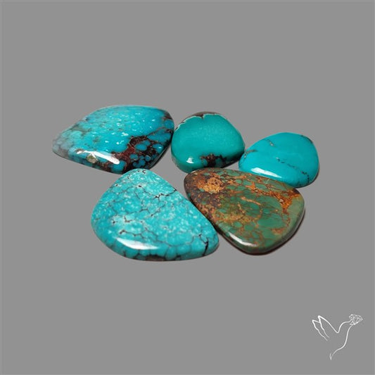 Hubei Turquoise Cabochons Lot