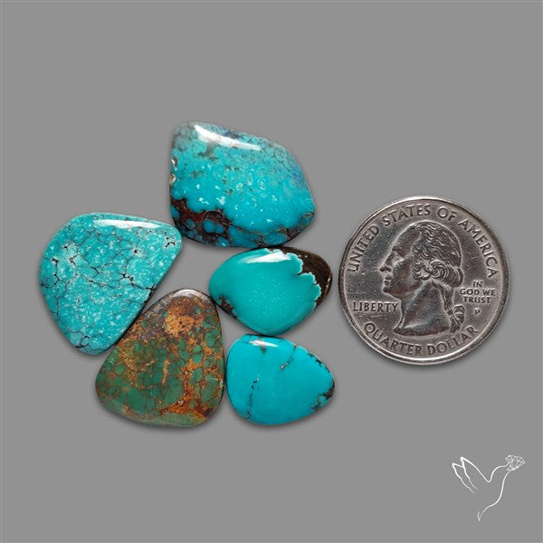 Hubei Turquoise Cabochons Lot