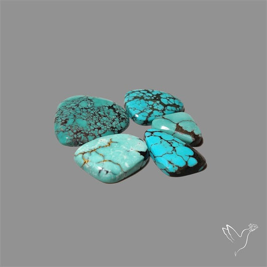 Hubei Turquoise Cabochons Lot