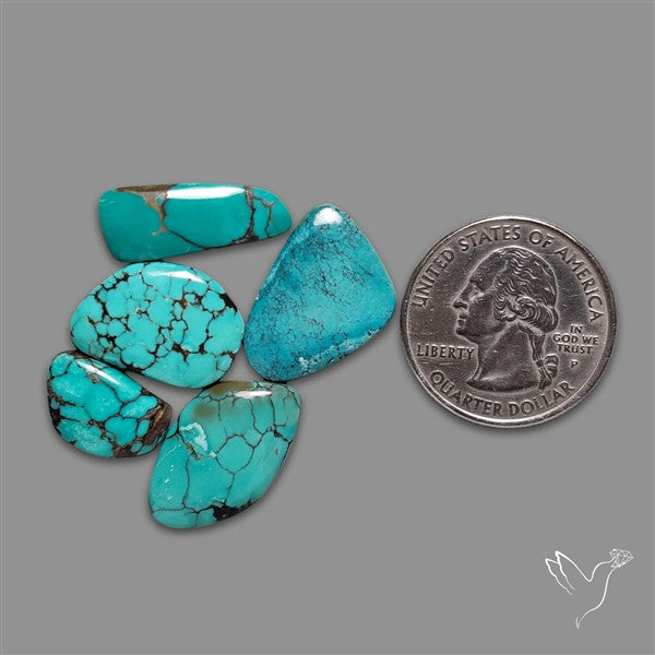 Hubei Turquoise Cabochons Lot