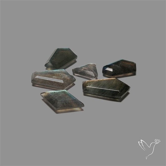 Portrait Cut Labradorites Lot