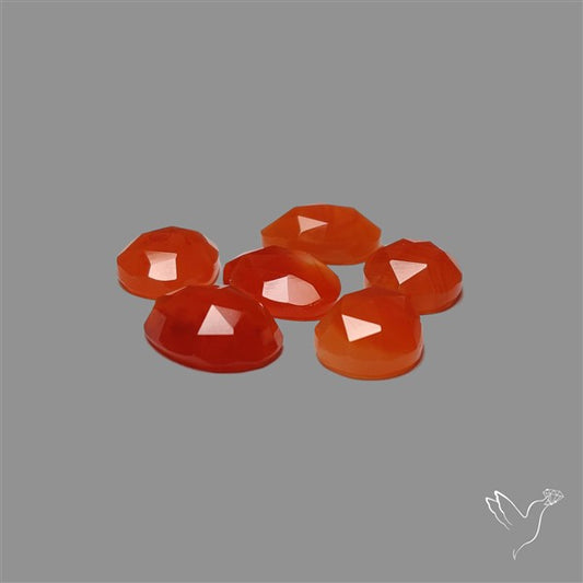 Rose Cut Carnelian Agate Lot