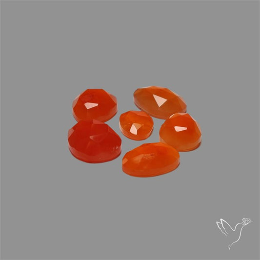 Rose Cut Carnelian Agate Lot