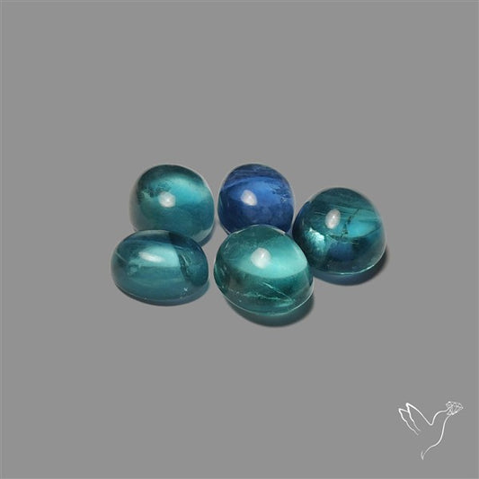 Belgian Fluorite Cabochons Lot