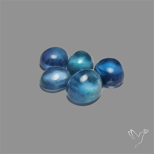 Belgian Fluorite Cabochons Lot