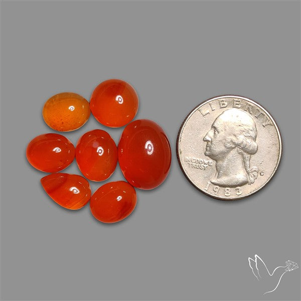 Carnelian Agate Cabochons Lot