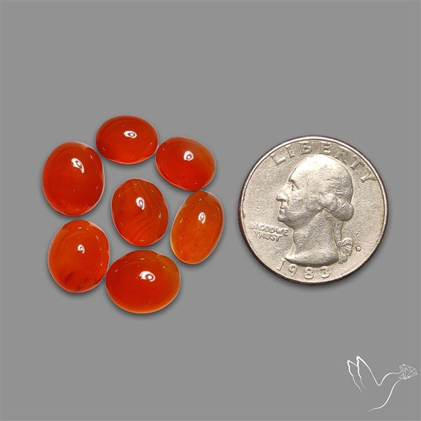 Carnelian Agate Cabochons Lot