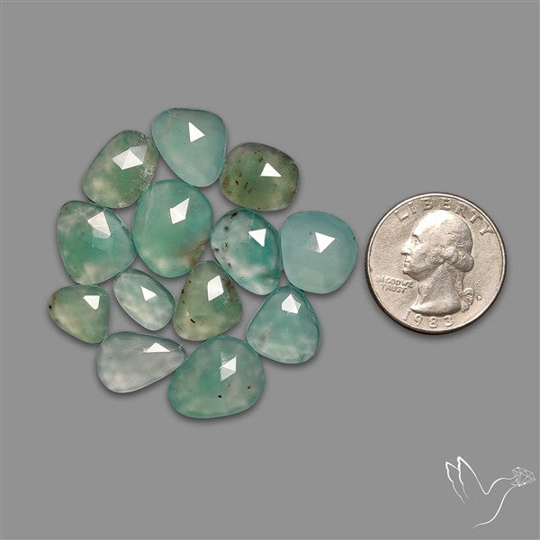 Rose Cut Aqua Chrysoprase Lot