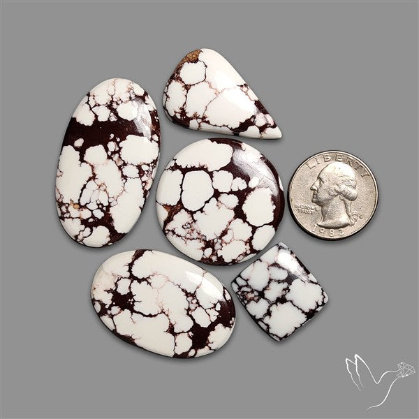 Wild Horse Jasper Cabochons Lot