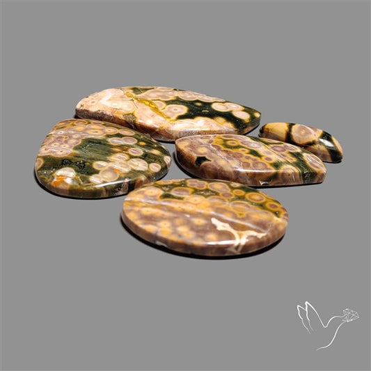 Orbicular Ocean Jasper Cabochons Lot